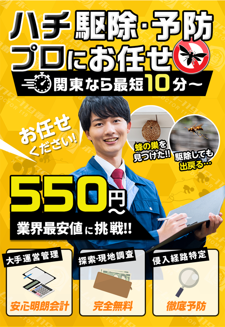 ハチ駆除・予防プロにお任せ。