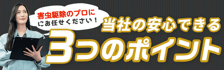 蜂駆除レスキュー110番にお任せください！蜂駆除レスキュー110番の安心できる3つのポイント