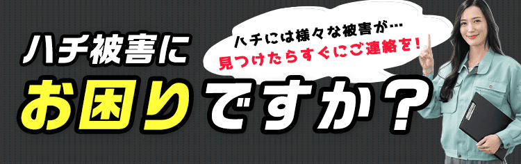 ゴキブリ被害にお困りですか？ゴキブリには様々な被害が…見つけたらすぐにご連絡を！